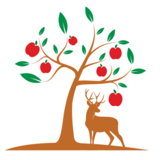 Wild Apple Trees, deer hunter food plots, deer hunter apple trees, quality deer management, quality wildlife habitat on my property